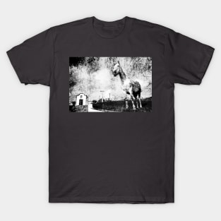 Grunge horse artwork T-Shirt